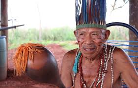 Guarani children work on the sugar cane fields. Povo Indigena Guarani Kaiowa Consegue Importante Vitoria No Stf