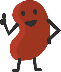 This Picture Is Kidney Approved Kidney Transplant Kidney Donation Kidney