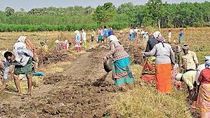 Transforming Rural India : From MGNREGA to VB-G RAM G Bill 2025 The  landscape of rural employment in India is evolving! The proposed VB-G RAM G  Bill 2025 aims to modernize the