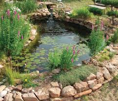 I am in the military and frequently away from home, so maybe you can understand. Savio 800 Gallon Pond Package 8 X 11