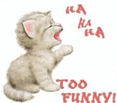 Oh So Cute Animated Animals Monkeys Funny Funny Gif