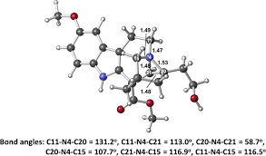 Image result for Paropsia brazzeana