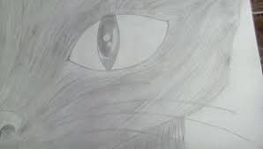Marcia kittredge on how to draw a realistic cat wi… josemgallegogarcia on drawing a realistic eye (mine… Realistic Cat Eye Pencil Art