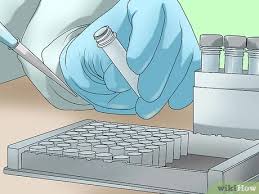 Maybe you would like to learn more about one of these? Cara Mengobati Hepatitis B 7 Langkah Dengan Gambar Wikihow