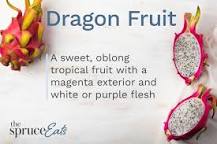 Is dragon fruit a summer fruit?