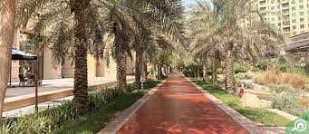 Across our area there are a number of community gardens where you can either work with other. Garden Homes Palm Jumeirah Area Guide Bayut
