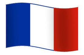 165 gram polyester, sydde flagg. Frankrike Flagget Gif Animert