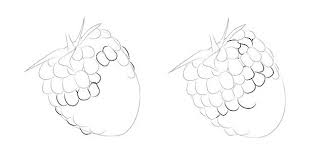 Using simple and light lines, sketch such a round geometric figure. How To Draw A Raspberry With A Pencil