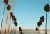 Summer Desktop Wallpaper Tumblr