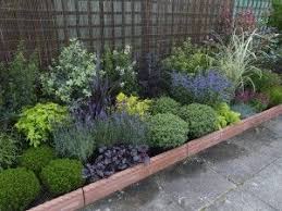 Creating An Evergreen Border Articles Jersey Plants Direct Garden Border Plants Small Front Gardens Garden Borders