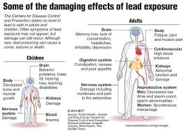Definition Lead Poisoning Also Called Plumbism Or Painter S Colic Is A Condition Caus Lead Poisoning Centers For Disease Control And Prevention Nursing Notes
