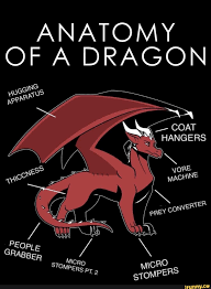 Anatomy Of A Dragon Ifunny Dragon Anatomy Furry Drawing Furry Art