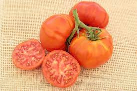 joie de la table graines le tomatologue