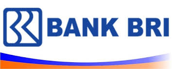 Hasil gambar untuk LOGO BRI