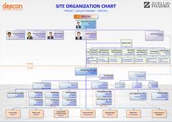 Organization Chart Descon Zuellig Pharma