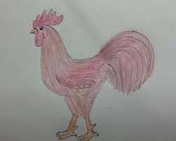 Check spelling or type a new query. Realistic Rooster Drawing Archives How To Draw Step By Step