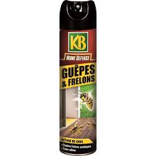 We did not find results for: Kb Home Defense Aerosol Special Guepes Et Frelons 400 Ml Cdiscount Au Quotidien