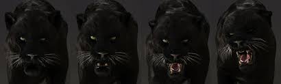 Pin On Animal 3d Model