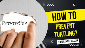 How To Prevent Turtling {5 Ways} - Error Express