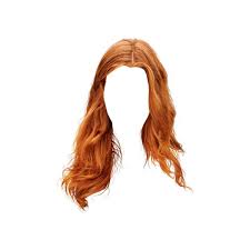 King In The North Liked On Polyvore Featuring Hair Doll Hair Dolls And Ginger Hair Png Hair Styles Hair Images