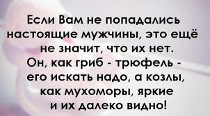 Смешные высказывания в картинках (40 шт)