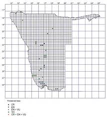 Image result for Decorsea schlechteri