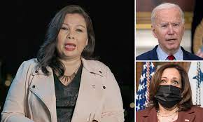 Duckworth Says She Will No Longer Vote For Any Of Joe Biden S Straight White Nominees Daily Mail Online