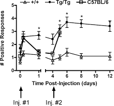 Check spelling or type a new query. Transgenic Expression Of A Dominant Negative Asic3 Subunit Leads To Increased Sensitivity To Mechanical And Inflammatory Stimuli Journal Of Neuroscience