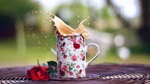 We offer an extraordinary number of hd images that will instantly freshen up your smartphone or computer. Rose Flowers Cup Coffee Hd Wallpapers Desktop And Mobile Images Photos
