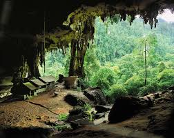 We did not find results for: Niah National Park Borneo Adventure