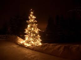 Christmas Night Night Lights Outdoors House Decorate Display Christmas Christmas Night Christmas Tree Christmas