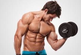 Une étude a rapporté que la prise quotidienne de créatine n'améliore pas la force musculaire (20 mg puis 5 mg par jour pendant 5 jours), alors qu'une autre étude a montré des effets. La Creatine
