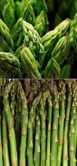 How To Grow Asparagus Growing Asparagus Growing Vegetables Asparagus