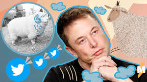 Напишите пост с тегами мемы и илон маск. Ilon Mask Mem S Barashkom Anna Def Leppard