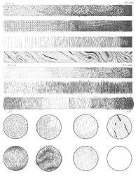 Doodles Scales Texture Drawing Ink Art Drawings