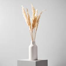 Maybe you would like to learn more about one of these? Dried Hardy Pampas Grass