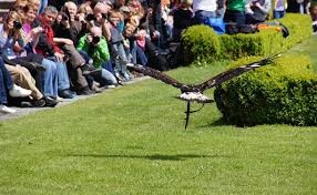 Fotoklub der VHS Horn