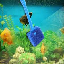 Habitat air tawar merupakan perantara habitat laut dan habitat darat. Akuarium Plastik Spons Kaca Ganggang Cleaner Modis Suasana Gagang Panjang Tangki Ikan Alat Kuas Air Hewan Peliharaan Alat Alat Kebersihan Aliexpress