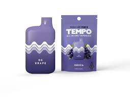 Image result for Tempo One