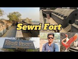 visiting Sewri Fort ...