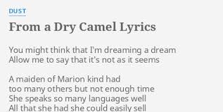 Yo ye pharoahs, let us walk through this barren desert, in search of truth and some pointy boots, and maybe a few snack crackers. From A Dry Camel Lyrics By Dust You Might Think That