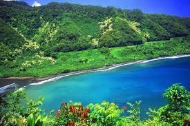 هاواي جزيرة الاحلام  Images?q=tbn:ANd9GcSIxnR55qtygIiff_V-uoSfn0Q14FbWpd-ACtbybkbTjEi7q1hOEhpz20Ei