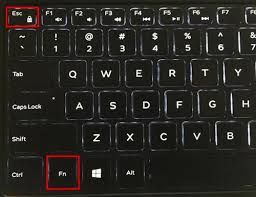 You won't get any additional assistance in bypassing a password. Fixed Function Keys Not Working On Windows 10 8 7