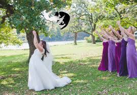 Il blog dell'abito da sposa. Brides Throwing Cats Volano Gatti Al Posto Di Bouquet Mode