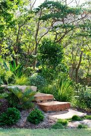 Coastal Garden Byron Bay Nsw Landscape Design Garden Landscape Design Australian Garden Design