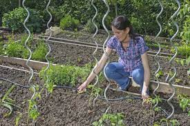 Welche garten bewässerungssystem produkte empfehlen andere menschen? Automatische Bewasserungssysteme Mein Schoner Garten