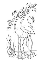 Kids Printable Flamingo Coloring Page Flamingo Coloring Page Animal Coloring Pages Fairy Coloring Pages