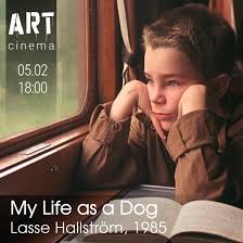 My Life as a Dog in Tbilisi ᐉ Events Schedule | YOLO | Yolo