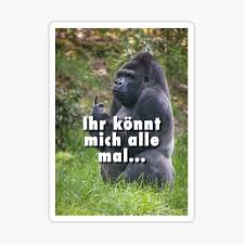 The image is dark overall, with the light in the scene positioned to. Women Details About Middle Finger Gorilla Harambe Pocket Tshirt Clothing Shoes Accessories