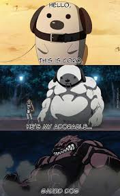 I Wanna Get A Big Dog And Name It After Coro Anime Akame Ga Kill Akame Ga